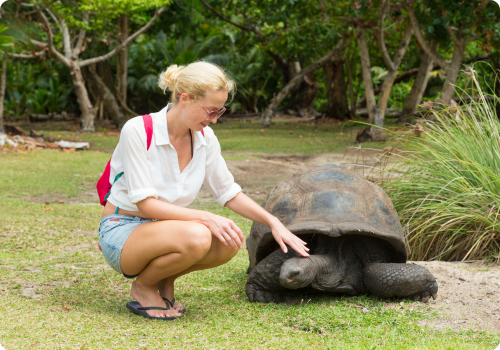 Aventura y Naturaleza en Aldabra